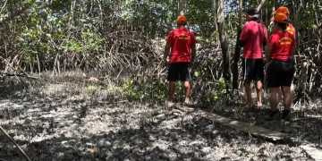 Corpo de homem é encontrado em área de mangue no litoral do Piauí; tinha marcas de tiros