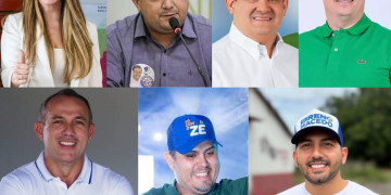 Saiba quem são os novatos eleitos para a Assembleia Legislativa do Piauí