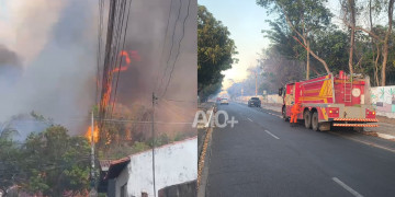 Incêndio de grandes proporções atinge área da Embrapa e Jardim Botânico em Teresina