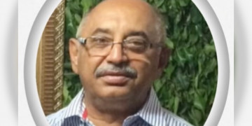 Ex-prefeito de Socorro do Piauí morre após ser atacado por enxame de abelhas em fazenda