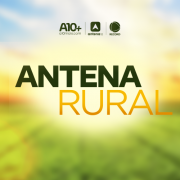 Por Arnaldo Ribeiro