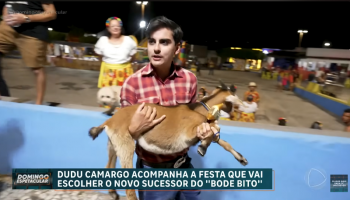 Achamos no Brasil: Dudu Camargo visita cidade do bode mais famoso do país em busca de um sucessor