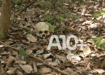 Ossada humana é encontrada por populares em área de matagal na zona Leste de Teresina