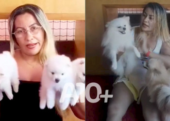 Polícia apura existência de 2º canil clandestino após Operação em Parnaíba, Piauí; vídeos mostram mulher vendendo animais