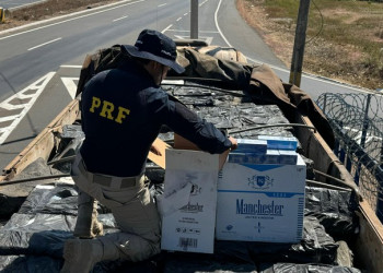 PRF apreende mais de 577 mil maços de cigarros contrabandeados no Piauí; motorista é preso