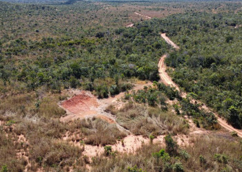 Governo cria Plano Estadual de Prevenção e Combate ao Desmatamento Ilegal do Piauí