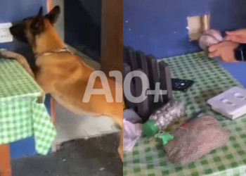 Homem é preso com drogas escondidas dentro de tomada falsa em Parnaíba, no Piauí; VÍDEO