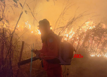 Bombeiros combatem incêndio que atingiu cerca de 130 hectares de vegetação em Batalha, Piauí; VÍDEO!