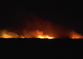 Corpo de Bombeiros do Piauí registra cerca de 900 ocorrências de combate a fogo em vegetação em todo o estado