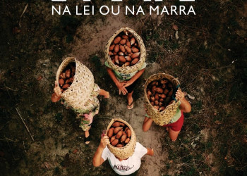Com foco na luta das quebradeiras de coco, documentário Babaçu Livre será lançado em Teresina nesta terça (22)