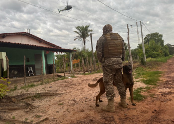 Piauí registra menor número de crimes violentos letais intencionais desde 2014, aponta Segurança