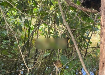 Mulher é encontrada morta em córrego no interior do Piauí; Polícia Civil investiga