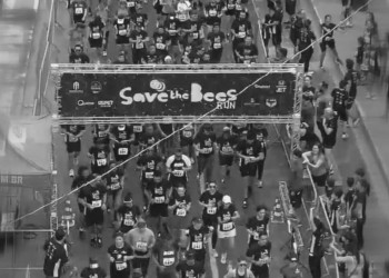 Corrida de rua Save The Bees Run conscientiza sobre um planeta mais justo e saudável