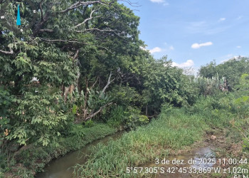 Desmatamento no Recanto das Palmeiras: ação rápida da Semarh confirma irregularidades às margens do riacho Itararé