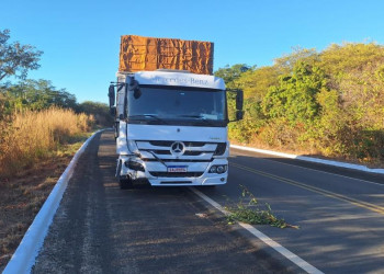 Motociclista morre em grave colisão frontal com caminhão no interior do Piauí