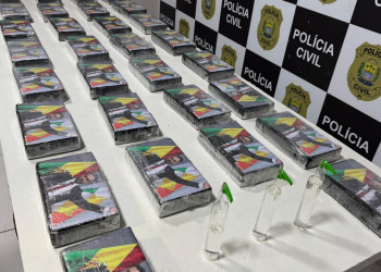 Secretaria de Segurança apreende R$ 3,5 milhões em drogas durante operação em Teresina