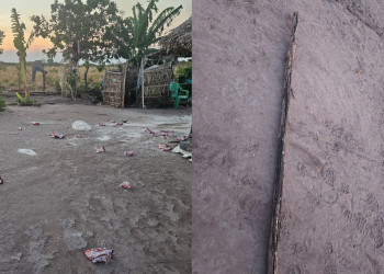 Homem é preso após agredir companheira com pedaço de madeira no interior do Piauí