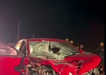 Dois vaqueiros ficam feridos após carro bater em cavalos no interior do Piauí; animais morreram no local