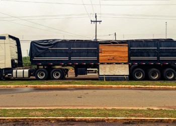PRF apreende mais de 50 m³ de madeira transportada irregularmente no Piauí