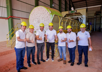 Piauí acelera transformação econômica com avanços no agro, bioenergia, turismo e inovação produtiva