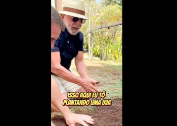 Em vídeo a Trump, Lula planta uva e diz semear comida e não ódio