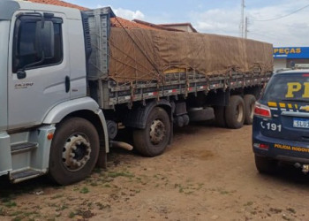 PRF apreende cerca de 30 m³ de madeira irregular e flagra crime ambiental no Norte do Piauí