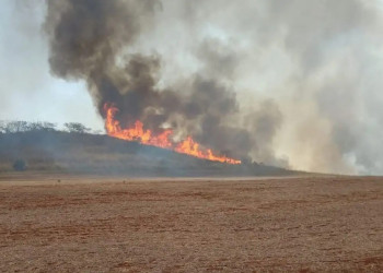 Brasileiros acham que economia pode ser devastada por eventos do clima