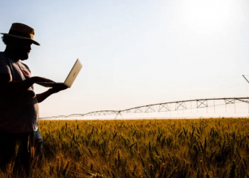 Produtor rural do Piauí deve atualizar cadastro até 30 de novembro para manter desconto na conta de energia