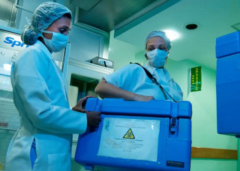 Setembro Verde: idosos também podem ser doadores vivos de órgãos