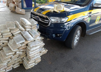 Homem é preso com drogas avaliadas em R$ 1,5 milhão dentro de caminhão no Piauí