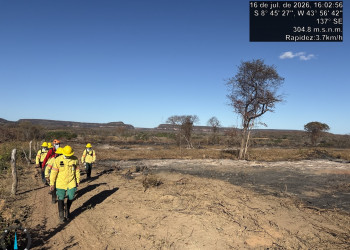 Piauí lidera redução de área queimada no Brasil no 1º semestre de 2026; 57,5 mil hectares deixaram de ser consumidos pelas chamas