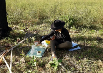 No Dia da Abelha, Uespi destaca pesquisas que fortalecem a produção de mel e a preservação ambiental