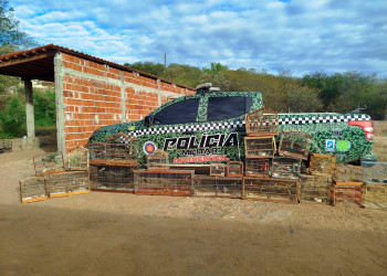 Polícia deflagra Operação 