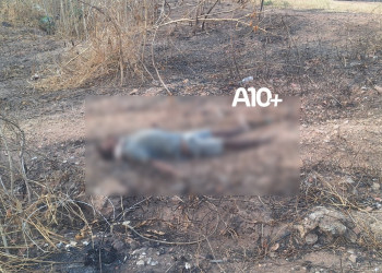 Corpo é encontrado na zona Norte de Teresina; 2º caso apenas nesta segunda (20) na capital