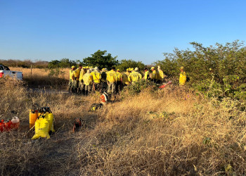 Secretaria de Segurança Pública mobiliza força-tarefa para combater incêndios em São Raimundo Nonato, no Piauí