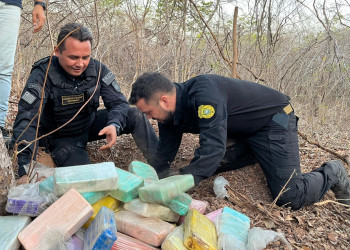 Operação desarticula dois centros de distribuição de entorpecentes de facção no litoral do Piauí