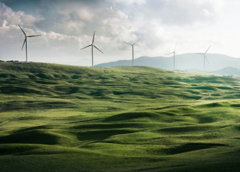 Cronograma para instalação de usina de hidrogênio verde segue e obras devem iniciar em maio de 2025