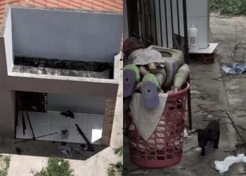 Governo do Piauí implanta protocolo inédito com drones e IA para investigar maus-tratos a animais