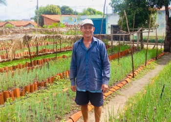 Badespi renova e amplia apoio a horticultores da Vila Irmã Dulce, em Teresina