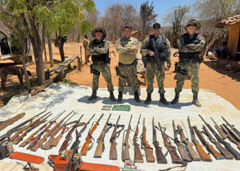 Polícia Ambiental do Piauí realiza mais de 380 operações e aplica R$ 112 mil em multas em 2025