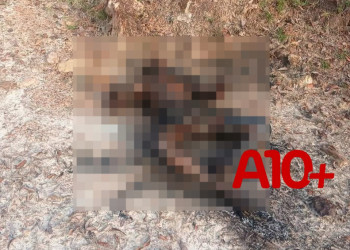 Corpo de homem é encontrado carbonizado em área de mata no interior do Piauí; Polícia investiga
