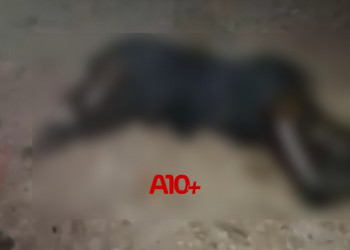 Corpo de mulher é encontrado em avançado quadro de decomposição em terreno na zona Sul de Teresina