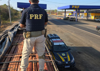 PRF apreende 40 m³ de madeira nativa transportada irregularmente na BR-316, em Teresina