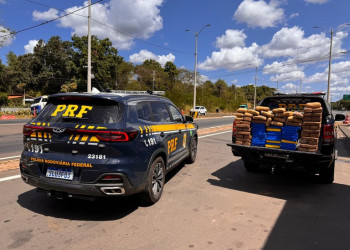 Em 2024, PRF apreendeu cerca de 1,8 tonelada de drogas nas rodovias federais do Piauí