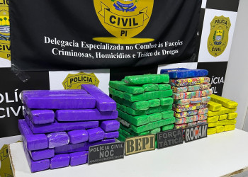 Operação integrada apreende 100 tabletes de maconha e prende uma pessoa em Picos, Piauí