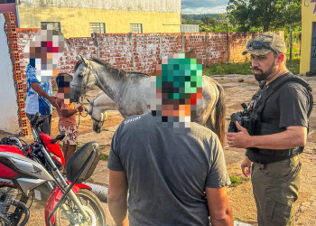 SSP deflagra operações para combater direção perigosa e presença de animais no interior do Piauí