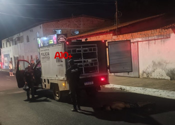 Homem é morto a golpes de faca durante desentendimento na zona Sudeste de Teresina; suspeito preso