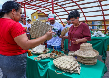 SAF entrega R$ 110 mil em sementes, mudas e kits de irrigação a 580 famílias do interior do Piauí