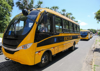 Apenas 5% dos municípios do Piauí realizam inspeção obrigatória no transporte escolar, aponta MPPI