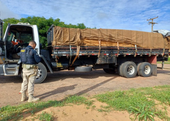 PRF flagra caminhão com madeira irregular durante fiscalização na BR-316, no Piauí